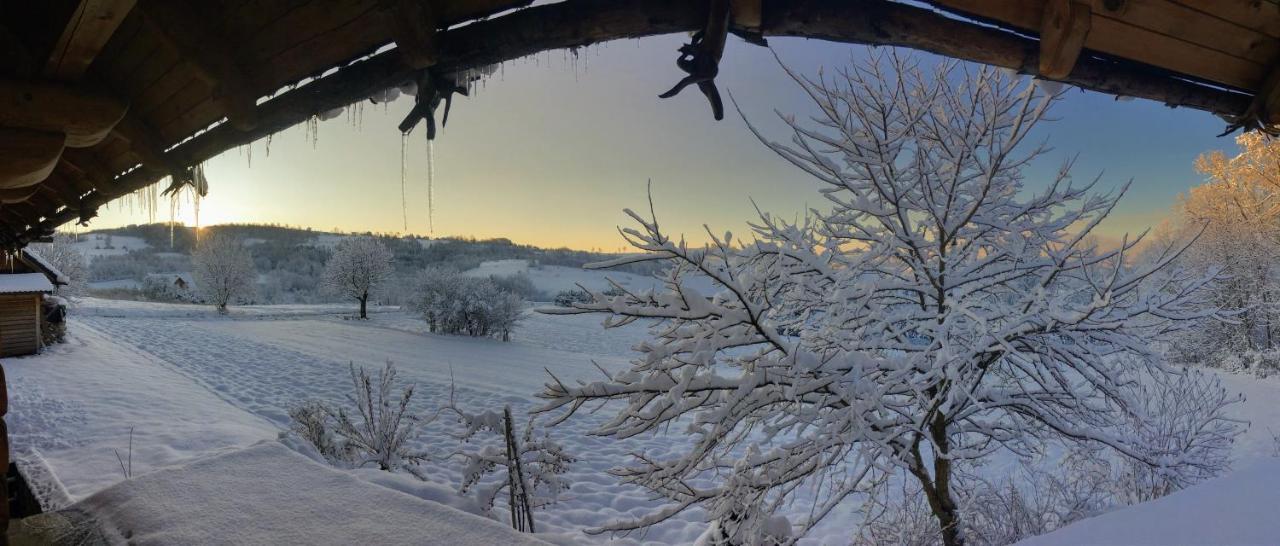 Moja Chata Do Wynajecia Istebna Exteriér fotografie