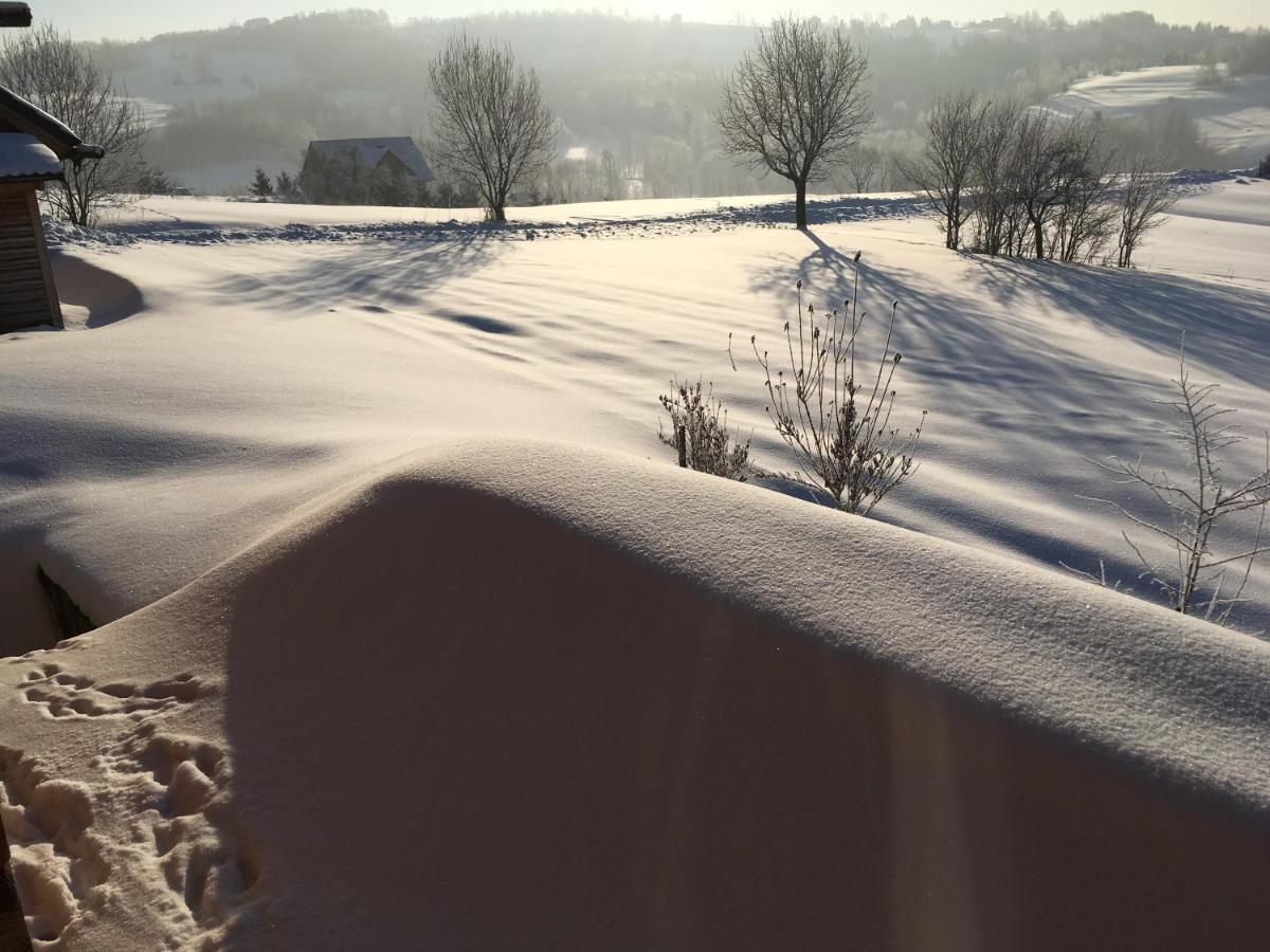 Moja Chata Do Wynajecia Istebna Exteriér fotografie