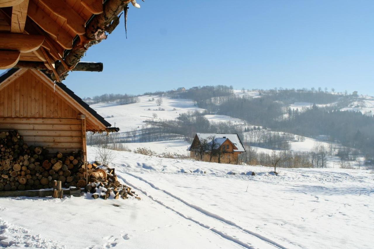 Moja Chata Do Wynajecia Istebna Exteriér fotografie