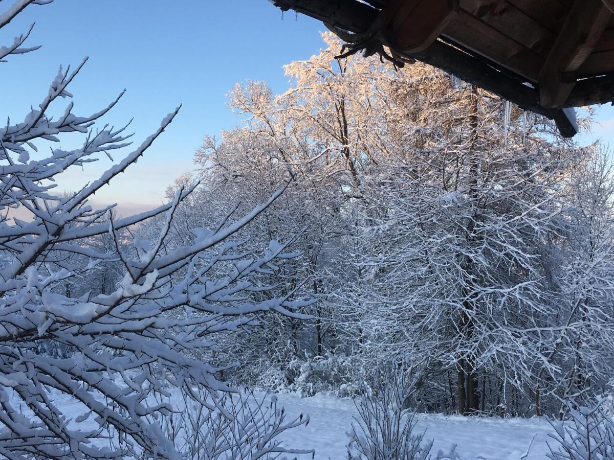 Moja Chata Do Wynajecia Istebna Exteriér fotografie